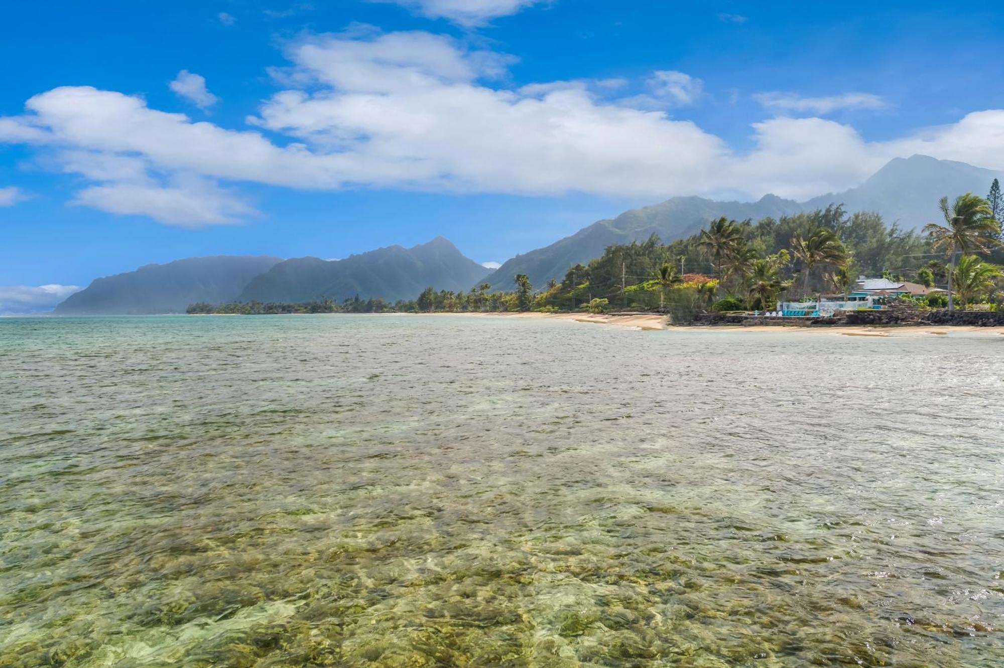 Corner Luxury Ethereal Hawaii Beachfront Estate For Monthly Rental With Private Beach & 3 Beachfront Jacuzzis & Snorkeling Reef & Jurassic Park Film Site Punaluu Esterno foto